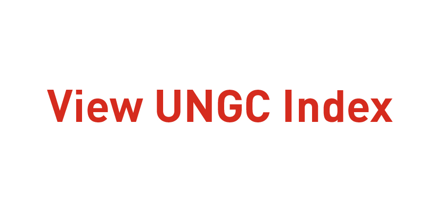 UN Global Compact Index