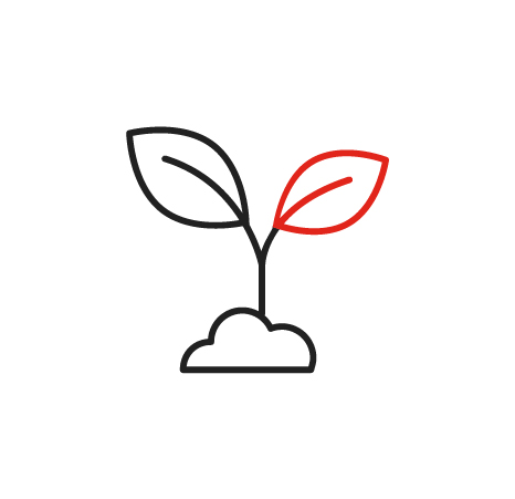 Sprout icon