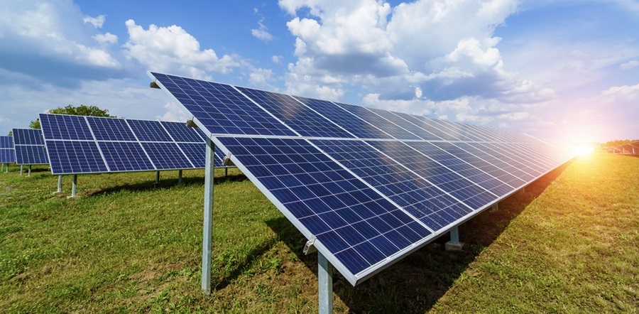 Field of solar panels