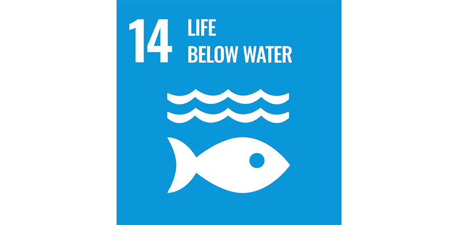 SDG icon 14