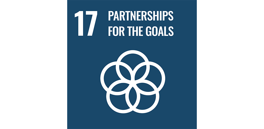 SDG icon 17