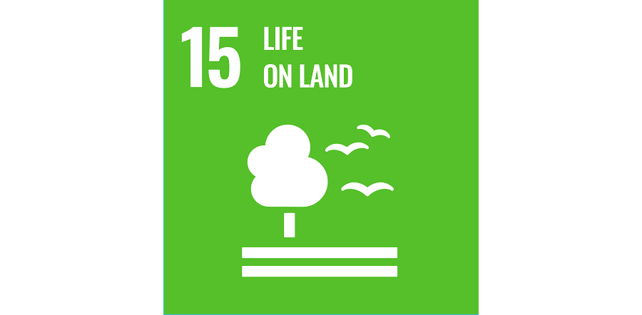 SDGs icon 15
