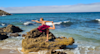 Yoga: Montag 17:30 Uhr -Gruppe (A1 + A2)