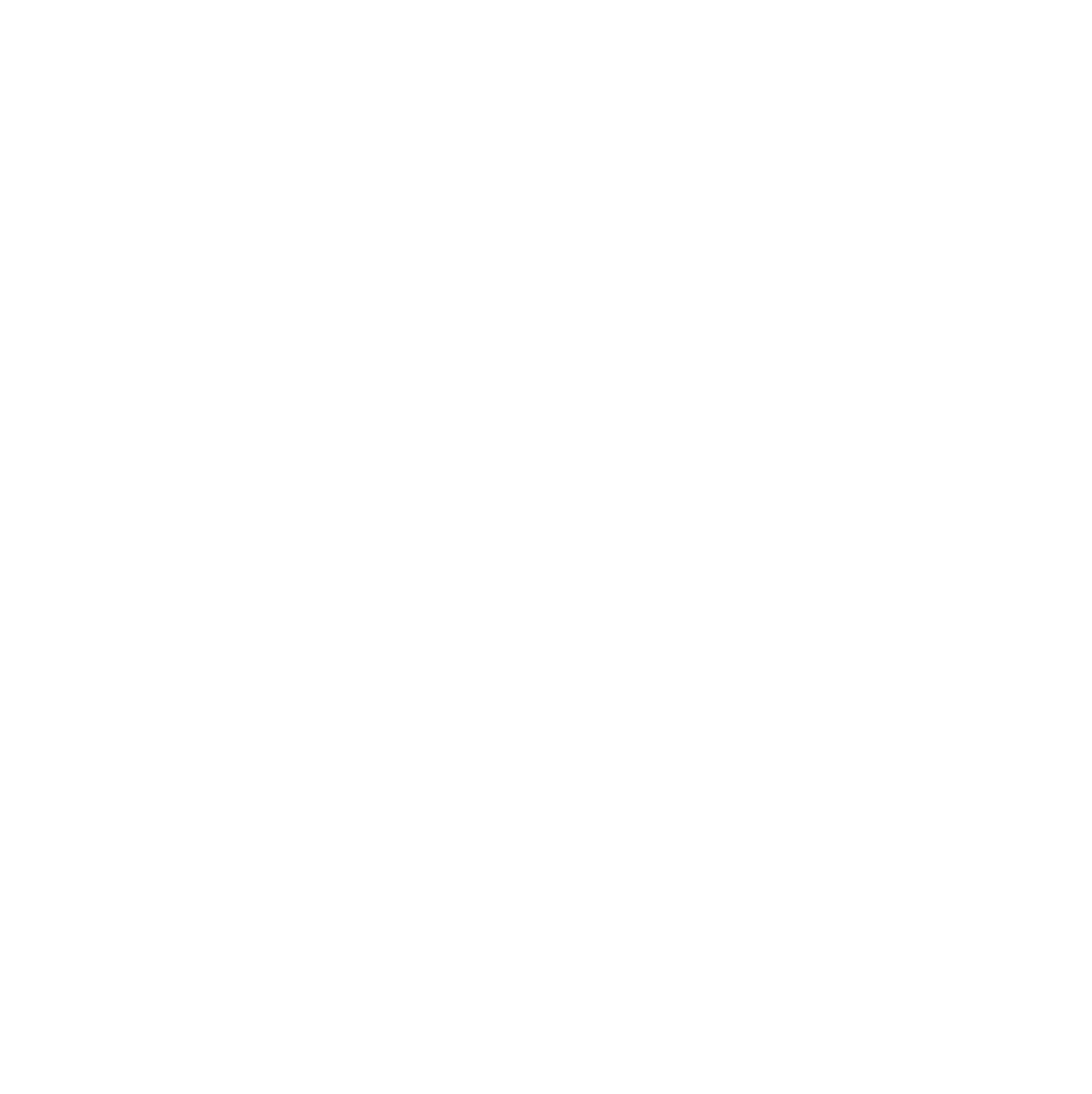 Bulliet®