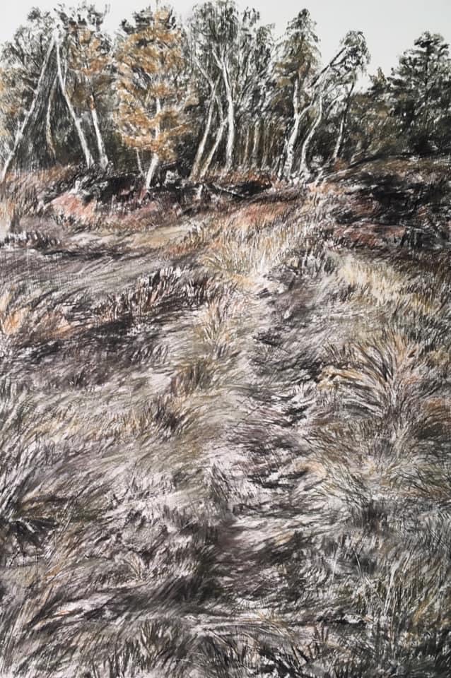 Leatherhead Art Club - Autumn Exhibition 2019