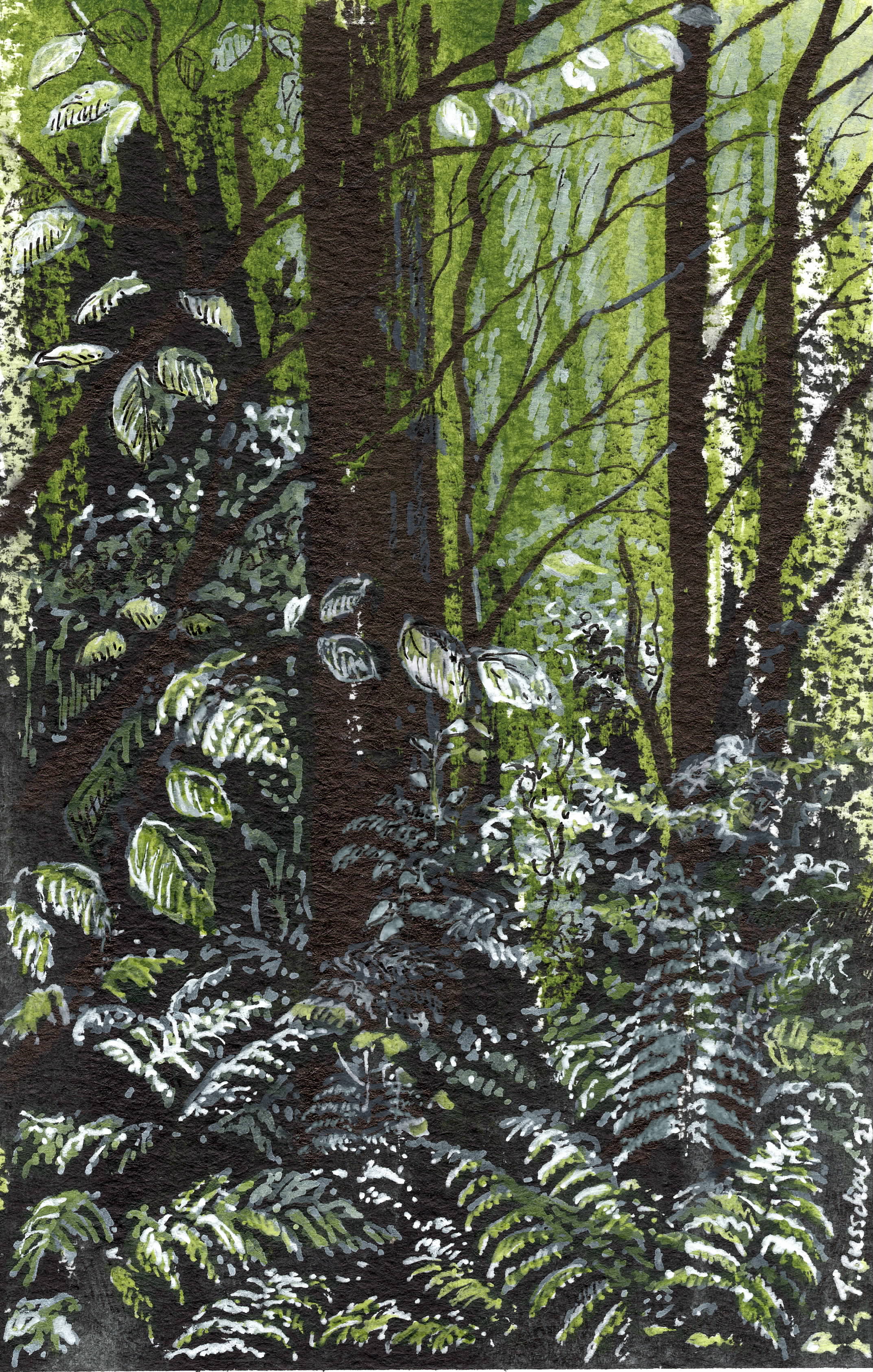 Ranmore Woods (colour)