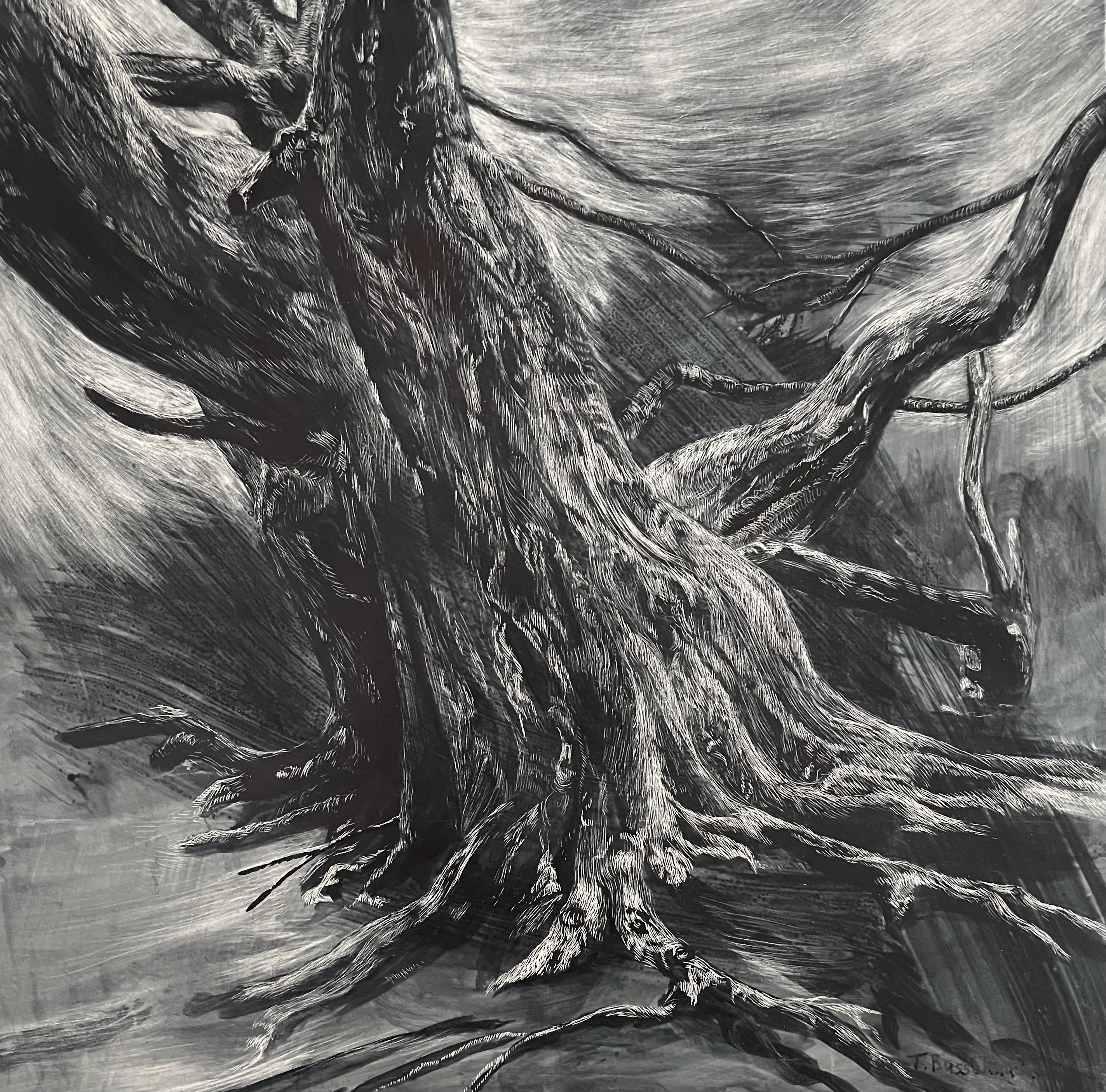 Shelter On a Rainy Day