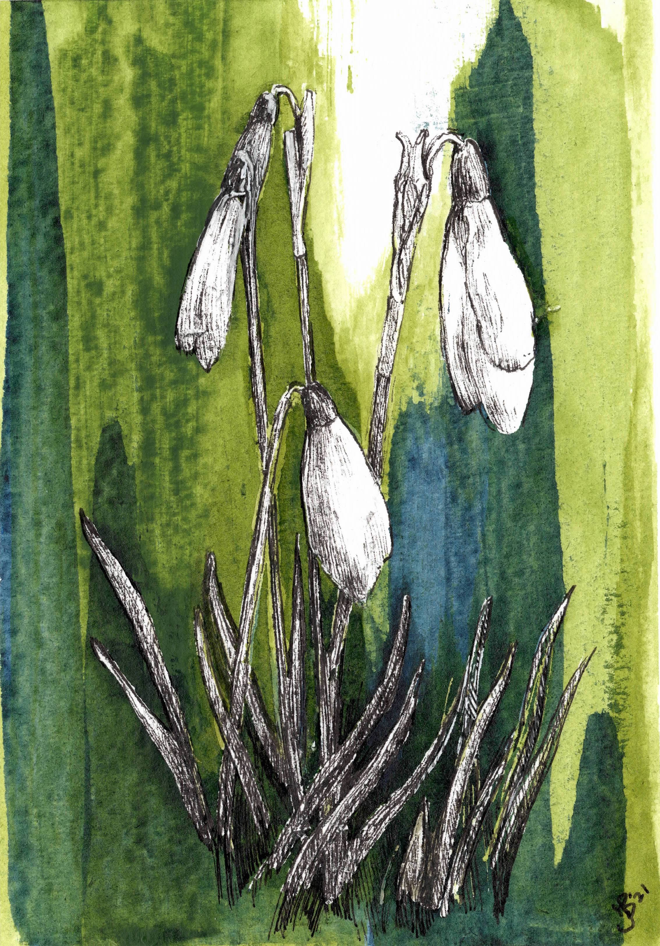 The First Show Drops