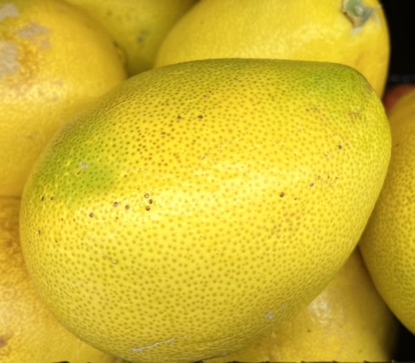 A close-up of a large, ripe yellow lemon with a slightly textured skin and small brown specks.
