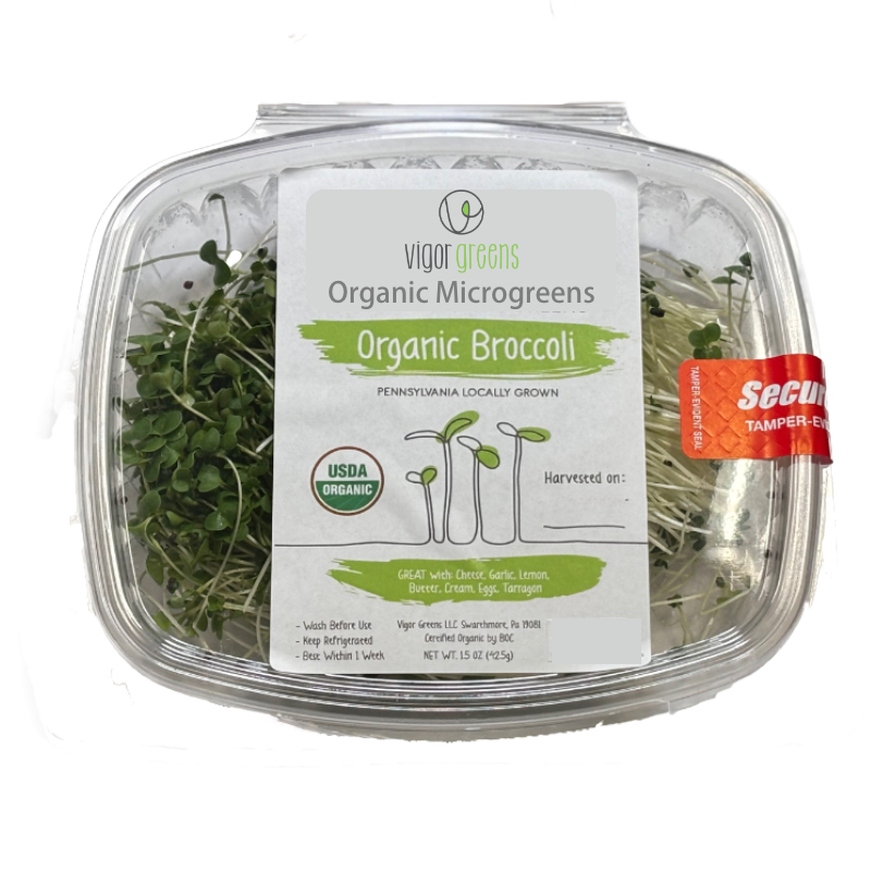 Fresh, local organic broccoli microgreens—tiny greens with big well ...
