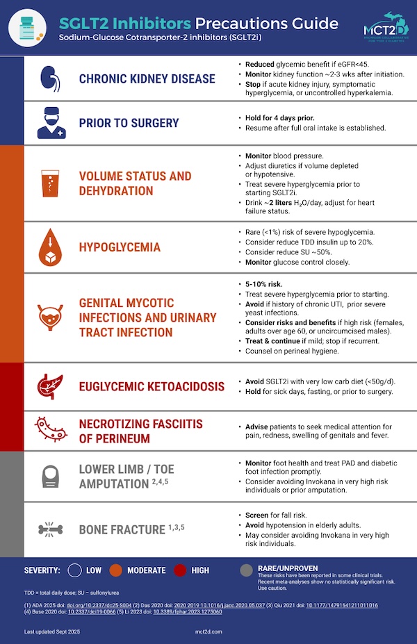 SGLT2i Precautions Poster Thumb