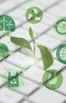 TI verde: o que é e como aplicá-la na sua empresa