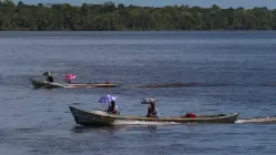 interior do Pará - notícia 