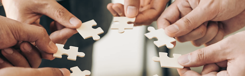 2025 é o Ano Internacional das Cooperativas, entenda por que 