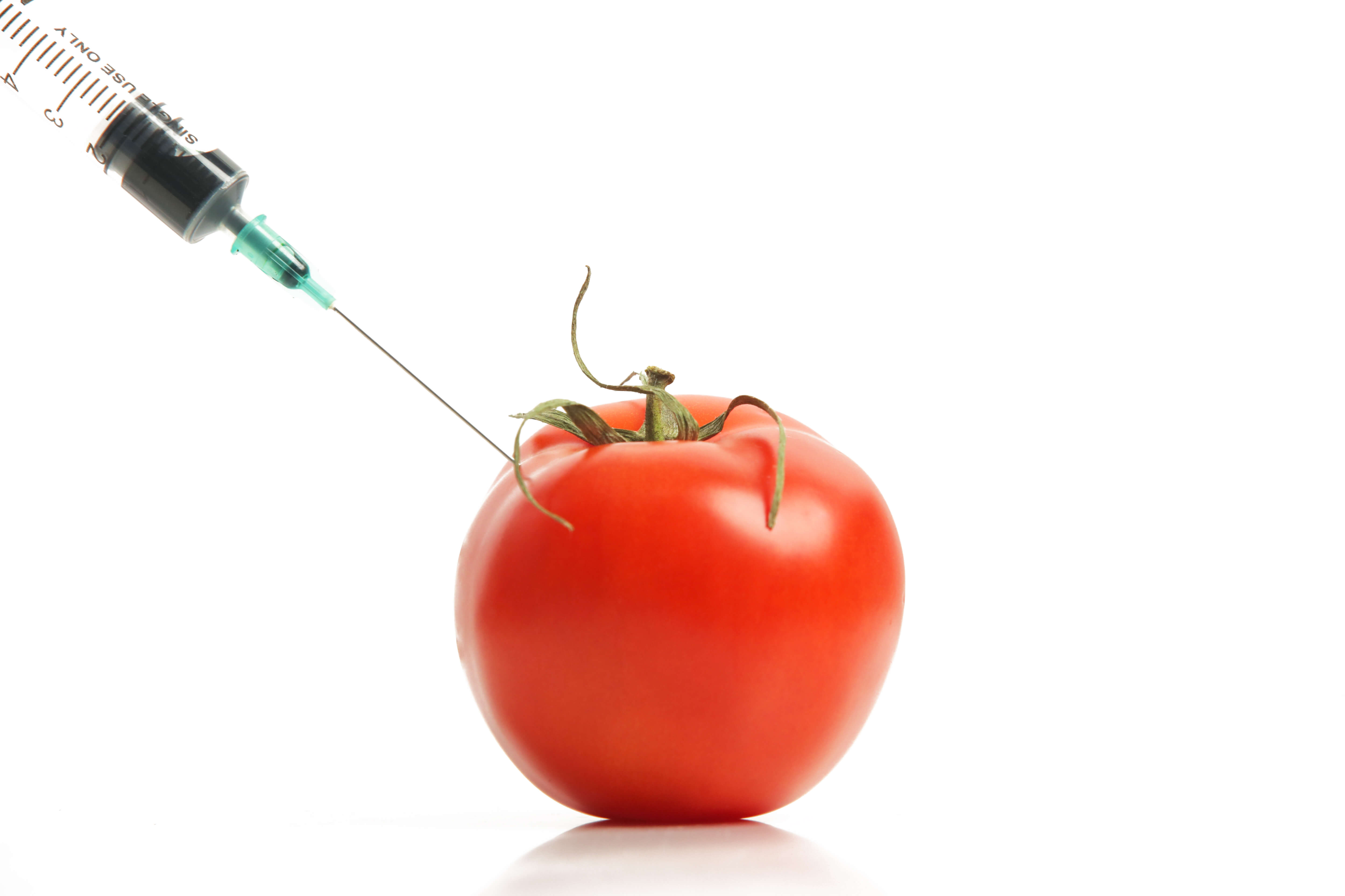 Organic Dog Food: Why Your Pet Deserves The Best 2 injected tomato