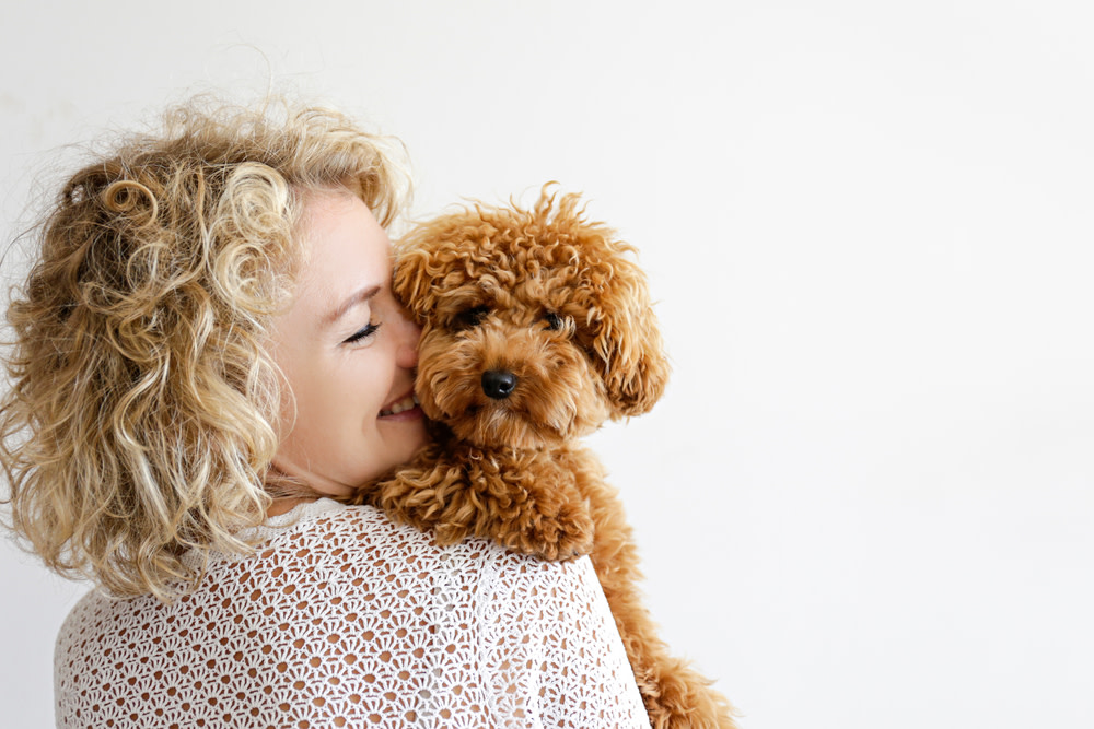 Is CBD Oil Safe For Dogs? What You Need to Know 4 finding the right cbd oil for your dog