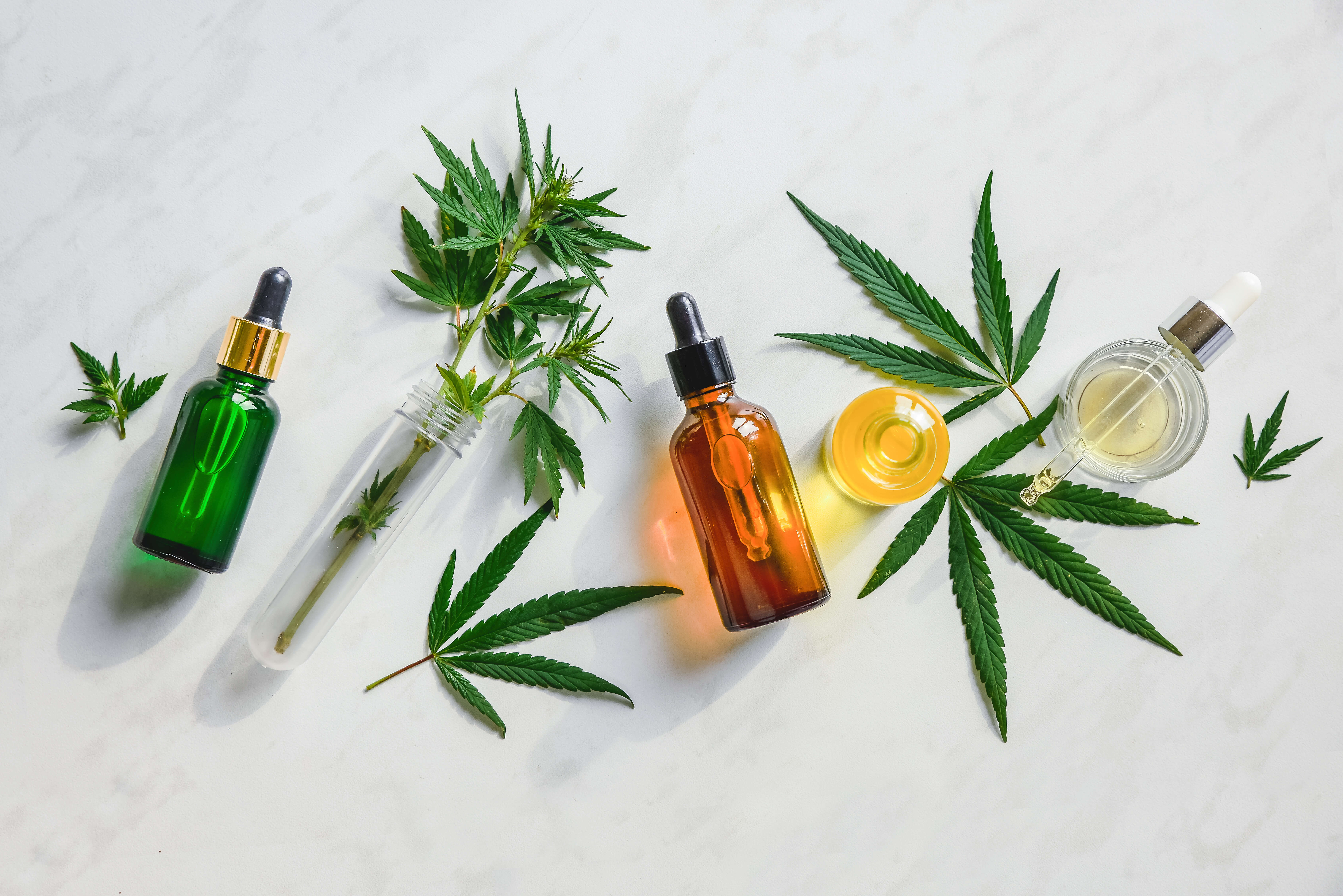 CBD Isolate vs Full Spectrum CBD Oil: What's the Difference? 2 A collection of different types of CBD oils in vials of varying sizes.
