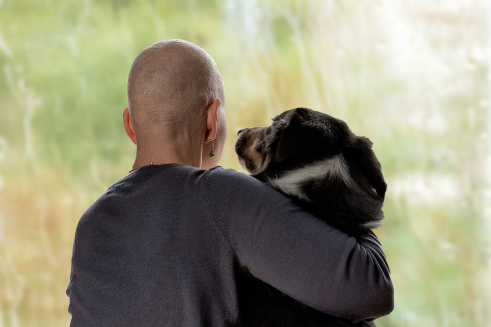 CBD Oil For Dogs With Cancer: A Holistic Option 1 CBD Oil for Dogs with Cancer