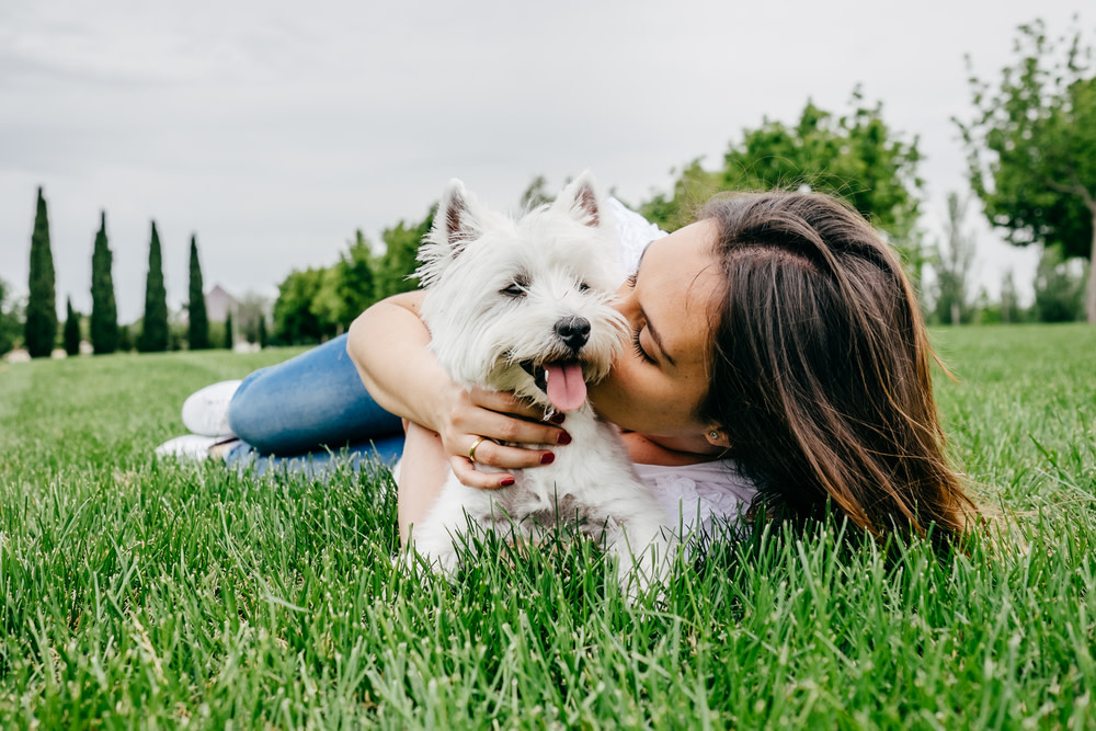 Hemp Oil Vs. CBD Oil For Dogs: Differences, Uses, and Benefits 2 hemp oil for dogs