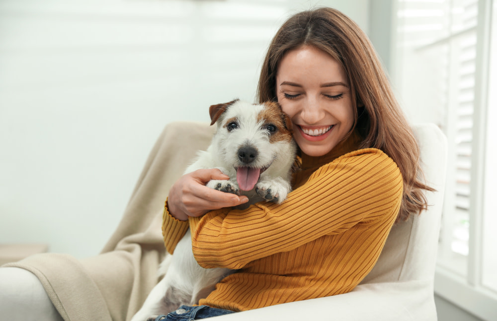 What to Know About Dog Anxiety 3 Treatment Options for Dog Anxiety