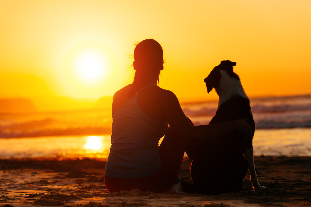 Holistic Cancer Treatment for Dogs 4 Holistic Cancer Treatment for Dogs
