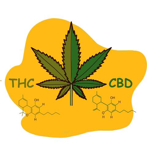 Is CBD Oil Legal? The Status of CBD in Every State 2 is CBD oil legal