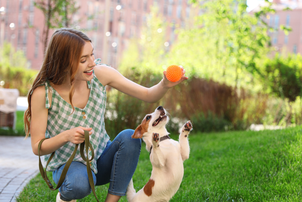 Why Does My Dog Fart So Much? 4 increase dog activity to reduce dog farts