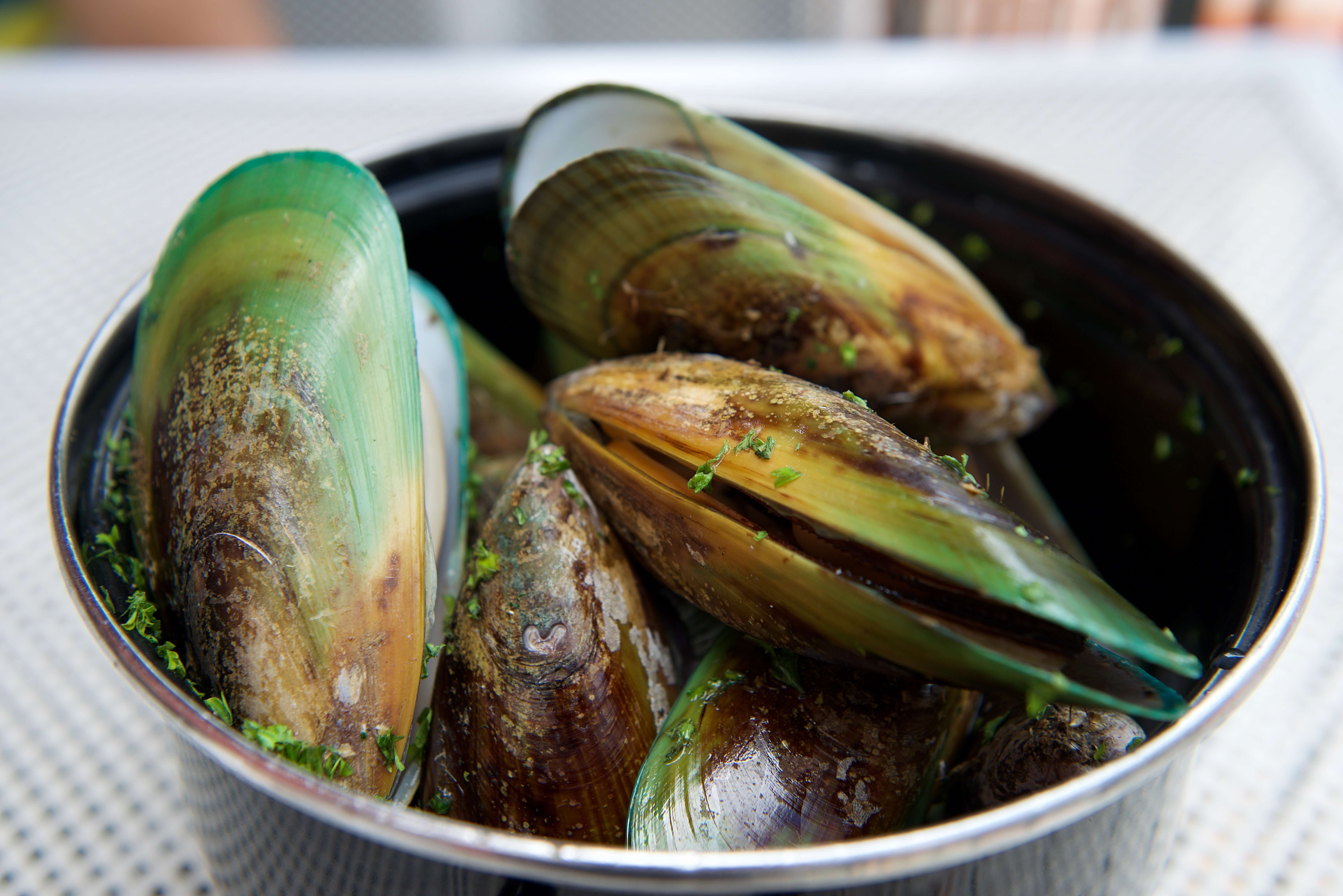 Natural Anti-Inflammatory Agents: Our Top 12 Choices for Dogs 7 A bowl of green lipped mussels to be used for its anti-inflammatory properties.