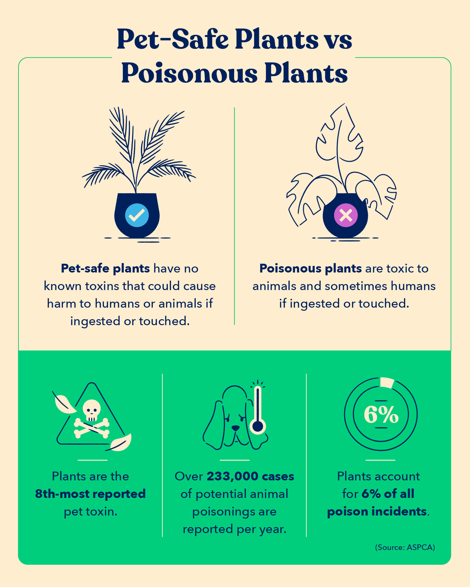 50 Pet Safe Plants Their Health Benefits For Owners
