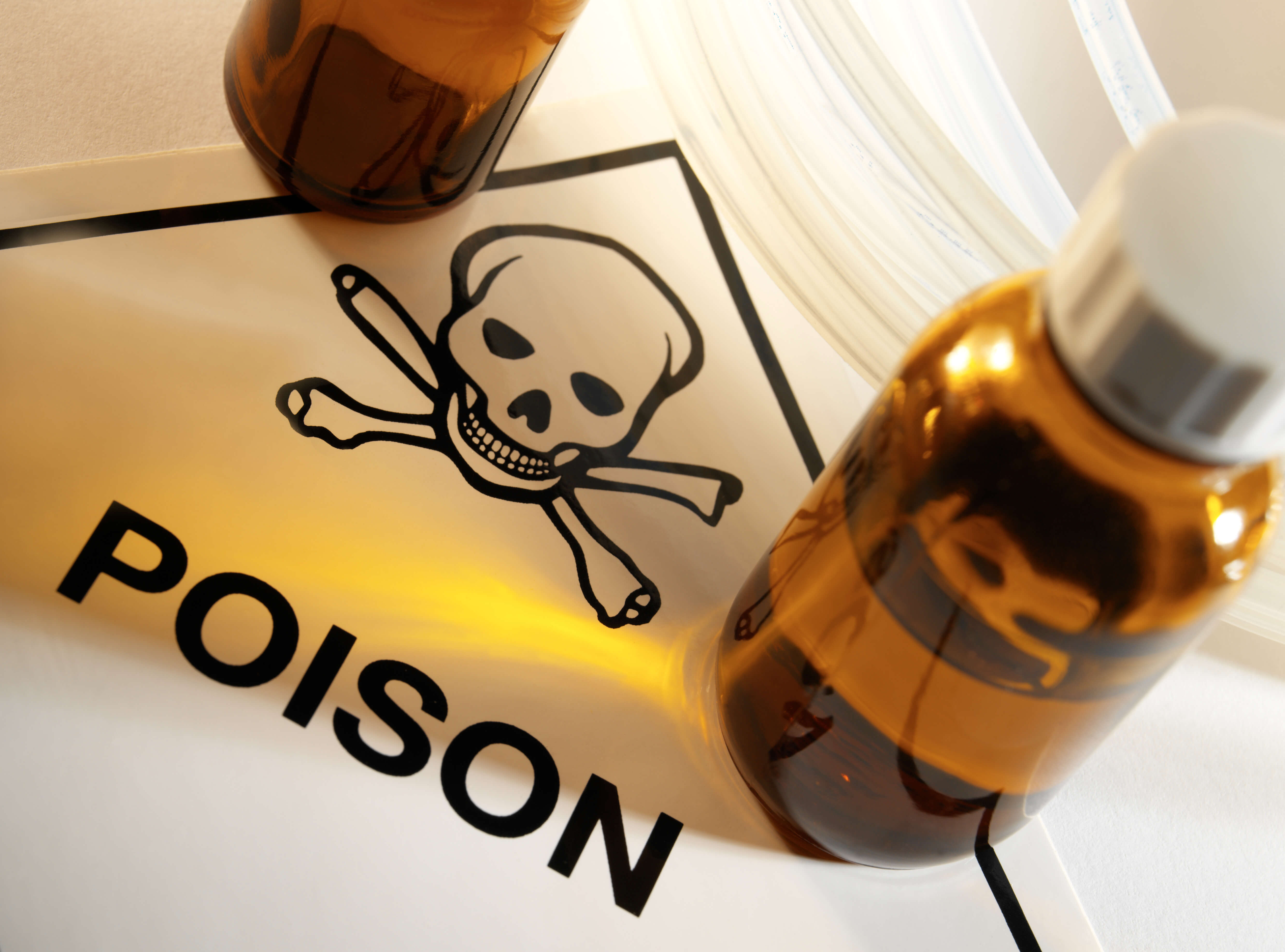 Cat Diarrhea: A Definitive Guide To Treatment 4 poison sign