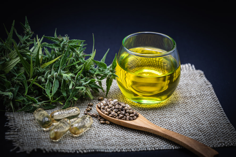 Hemp Oil Vs. CBD Oil For Dogs: Differences, Uses, and Benefits 1 Hemp Oil Vs. CBD Oil For Dogs