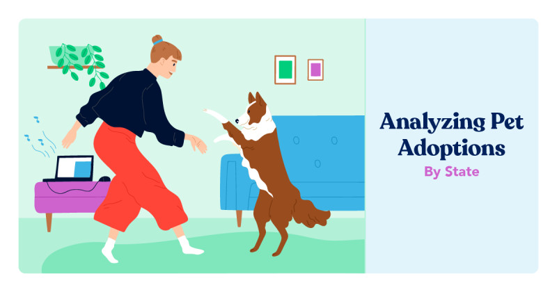 Analyzing Pet Adoptions