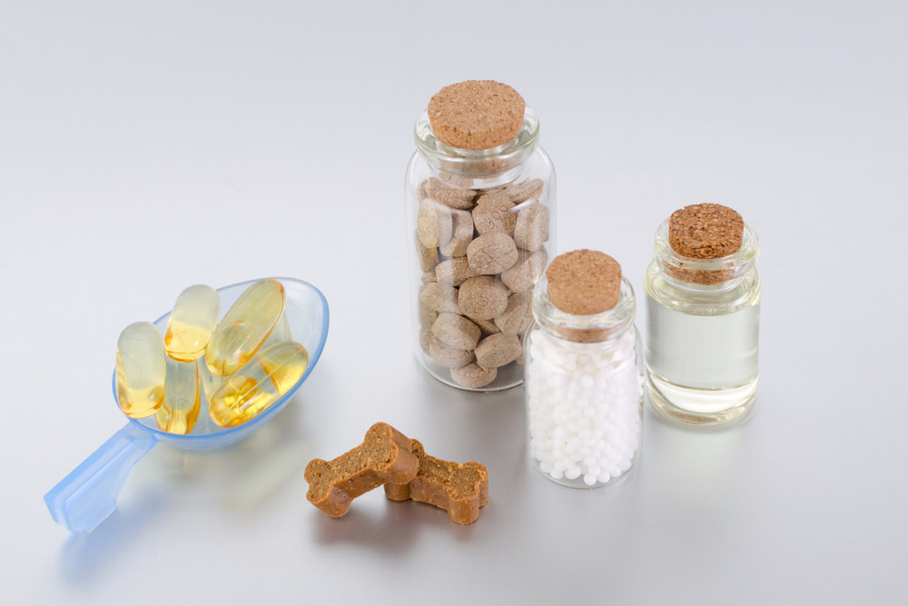 Natural Immune Booster for Dogs: A Guide 3 Supplements to Boost Your Dog’s Immune System