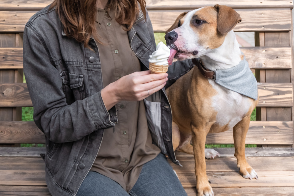 How To Use Goat Milk Probiotics For Dogs and its Health benefits 3 Ways to Feed Your Dog Raw Goat Milk