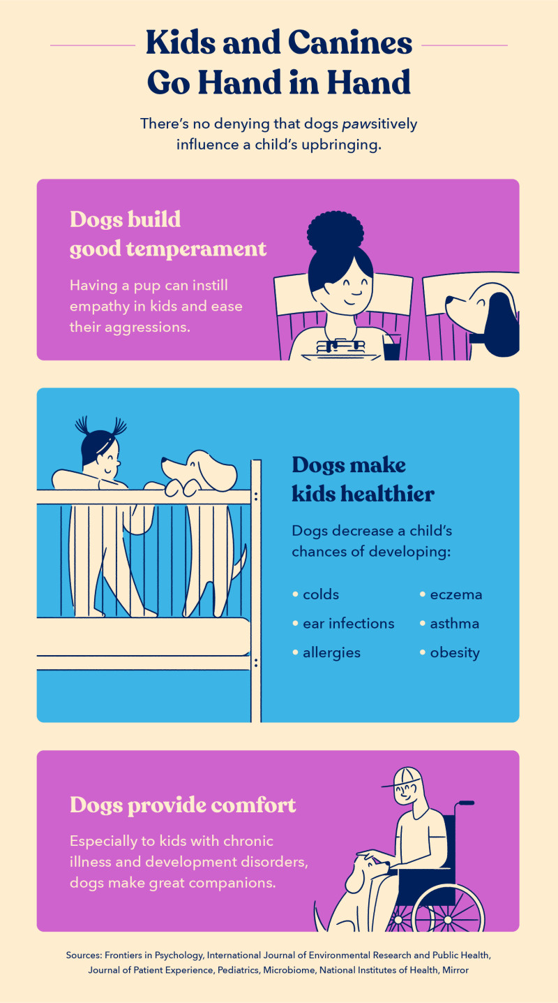 an illustration of dogs with kids indicates that dogs benefit kids by building good temperament, making kids healthier, and providing comfort