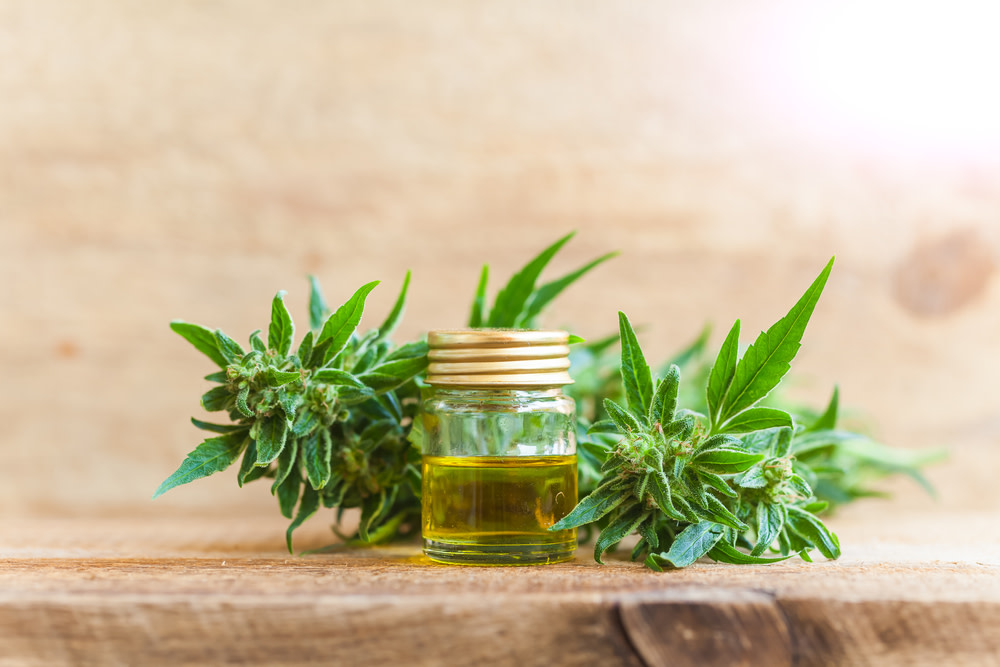 Is CBD Oil Safe For Dogs? What You Need to Know 1 Is CBD Oil Safe For Dogs