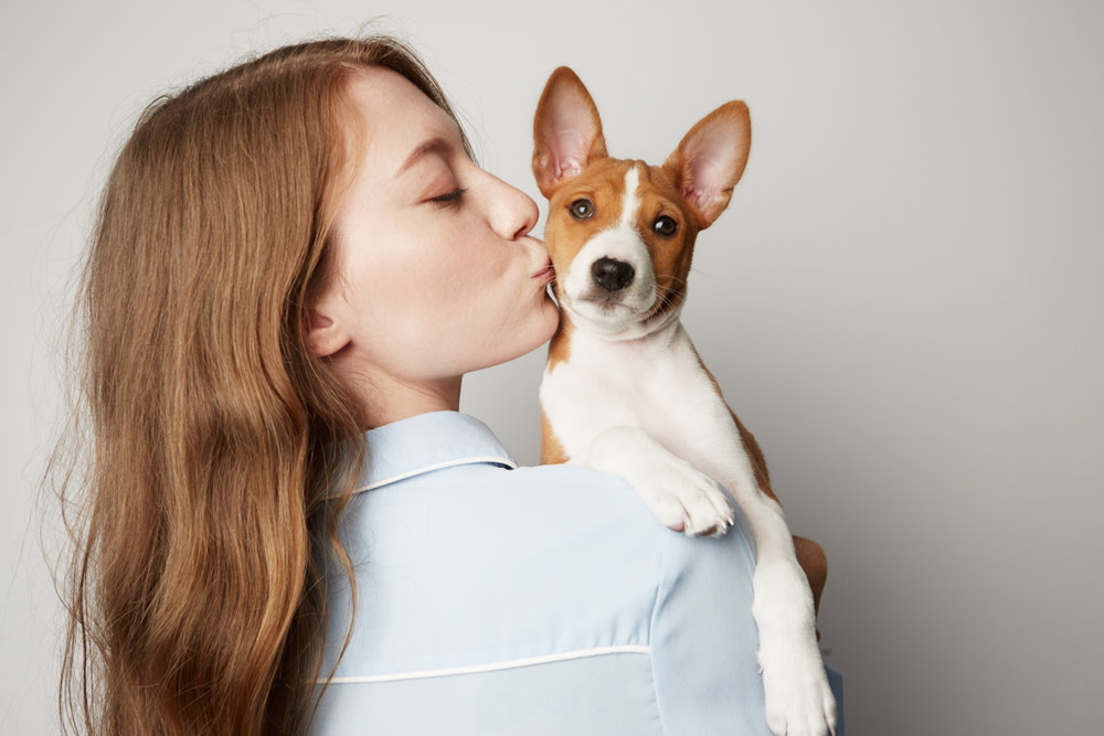 CBD Dog Treats For Anxiety: Helping Your Stressed Pup 4 The Best CBD Dog Treats For Your Tense Pet