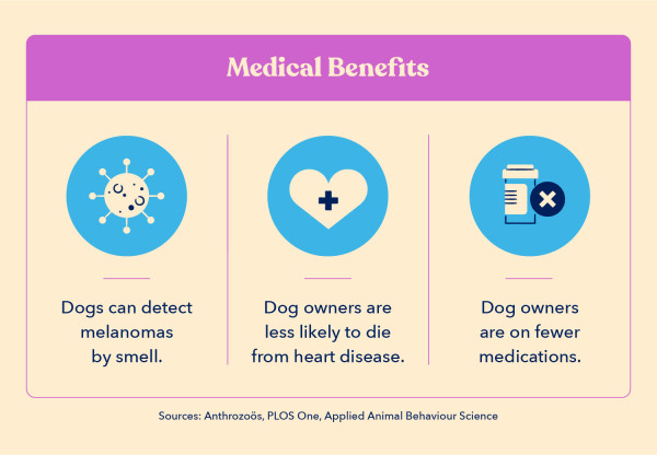 three icons indicate medical benefits of having a dog, including that dog owners are on fewer medicines and that dog owners are less likely to die from heart disease