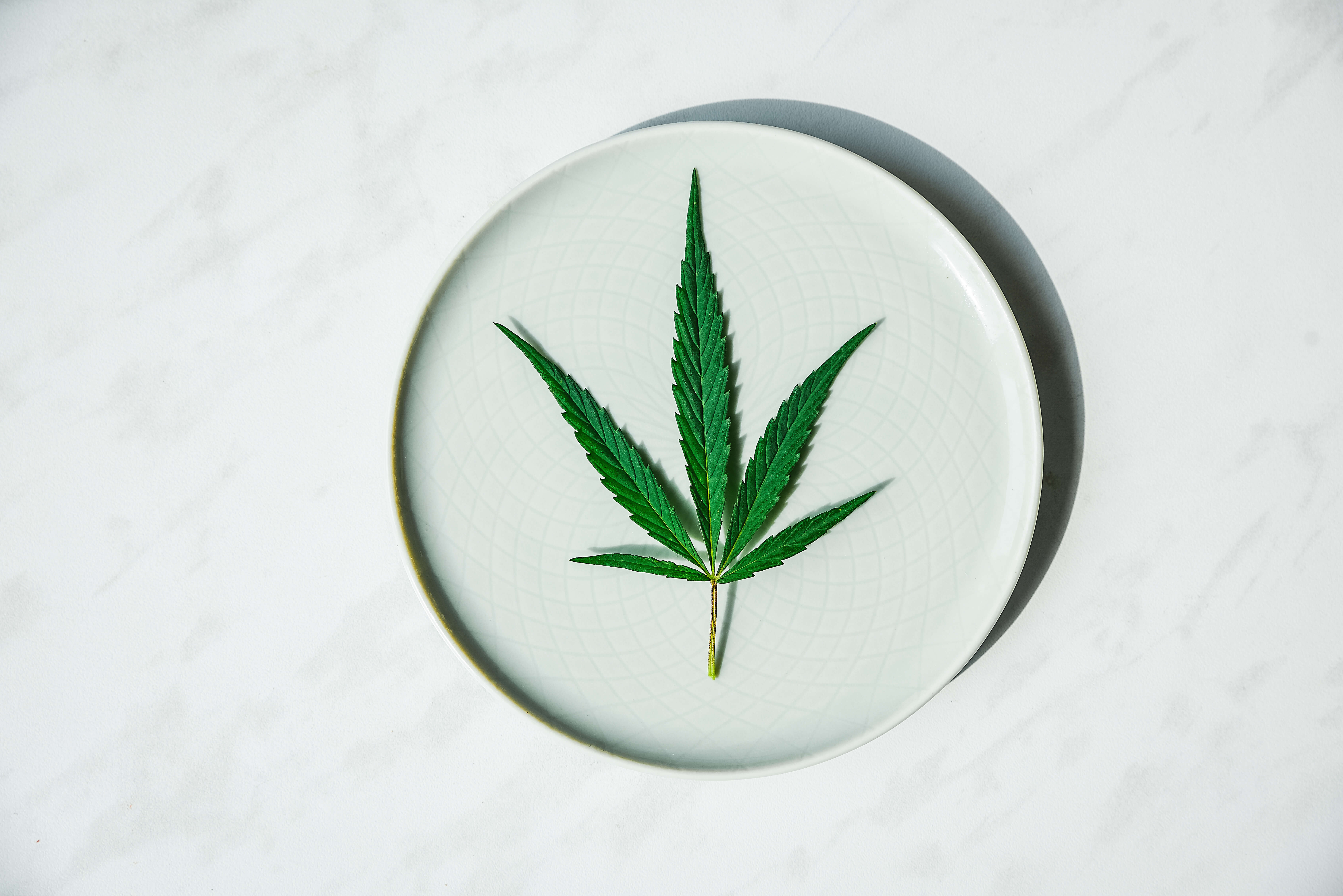Phytocannabinoids: A Simple Explanation 1 The hemp plant and its phytocannabinoids under a looking glass.