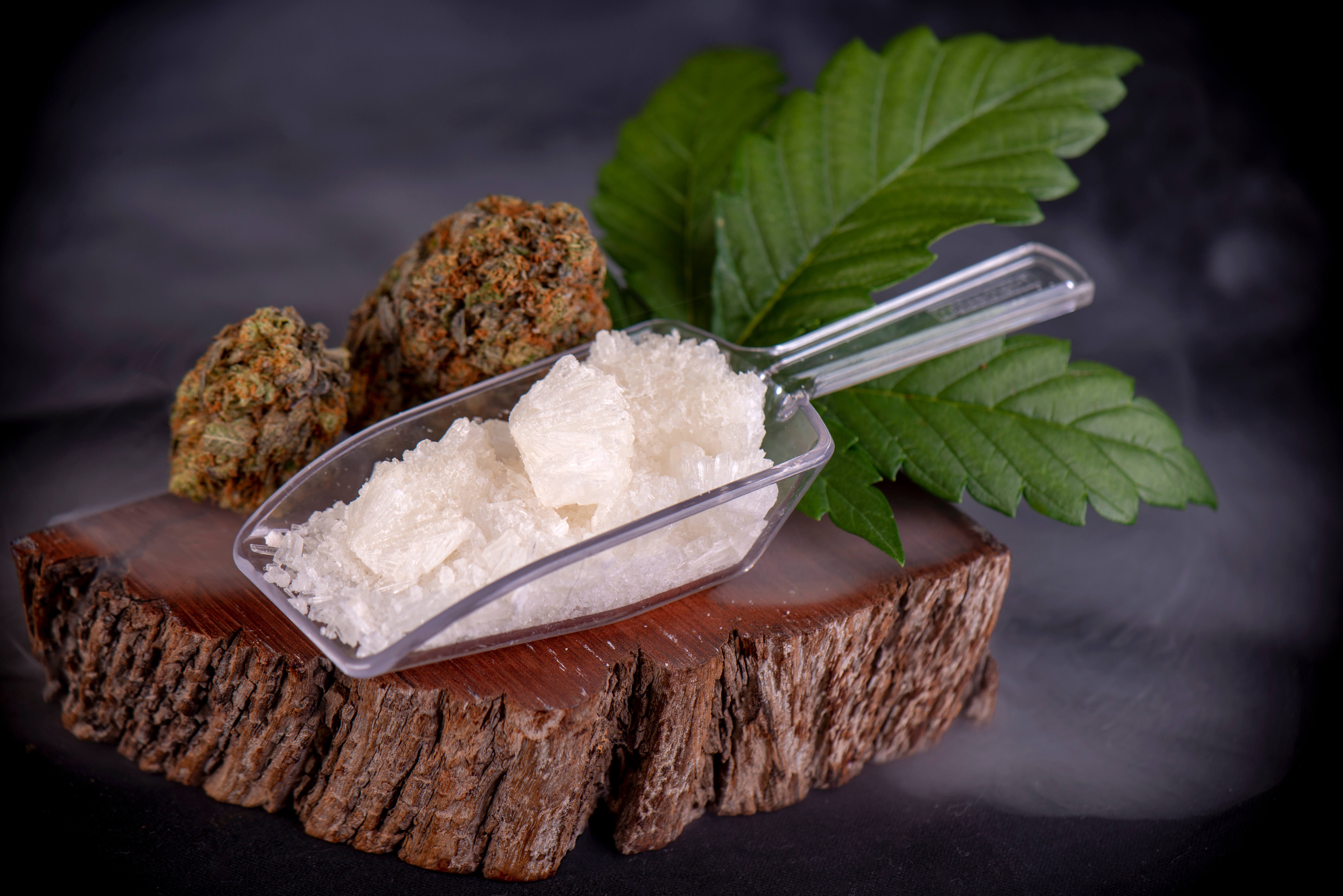 CBD Isolate: A Complete Guide 1 A scoop of CBD isolate among the hemp plant.