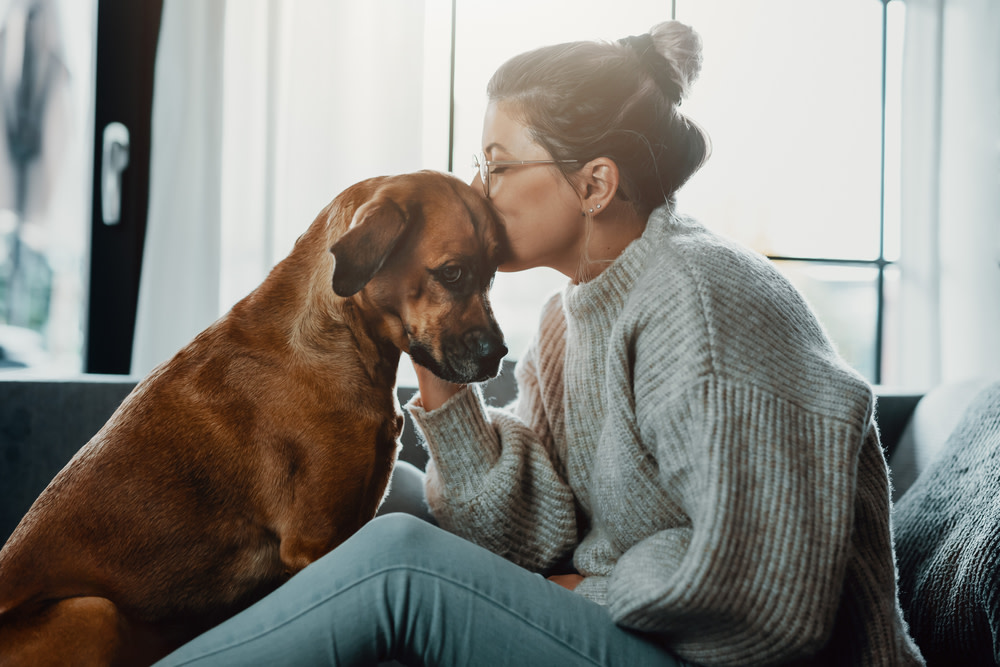 CBD Dog Treats For Anxiety: Helping Your Stressed Pup 1 CBD Dog Treats for Anxiety