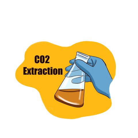 CO2 Extraction: A Look at the Process 1 CO2 Extraction