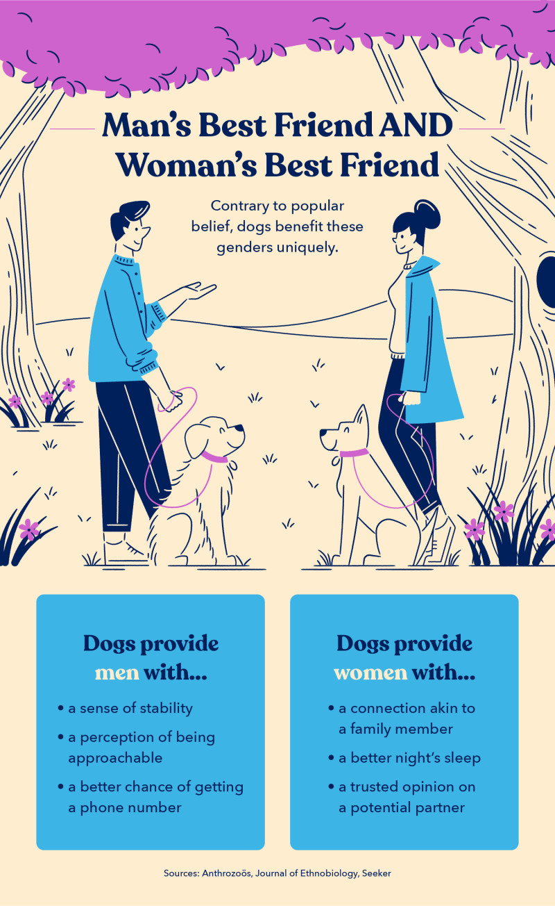an illustration of a man and woman with two dogs on a leash alludes to the fact that dogs benefit both men and women uniquely