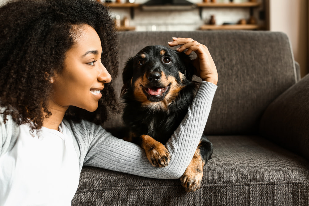 How Bloat Happens in Dogs and What to do About it 5 pet parent with happy puppy