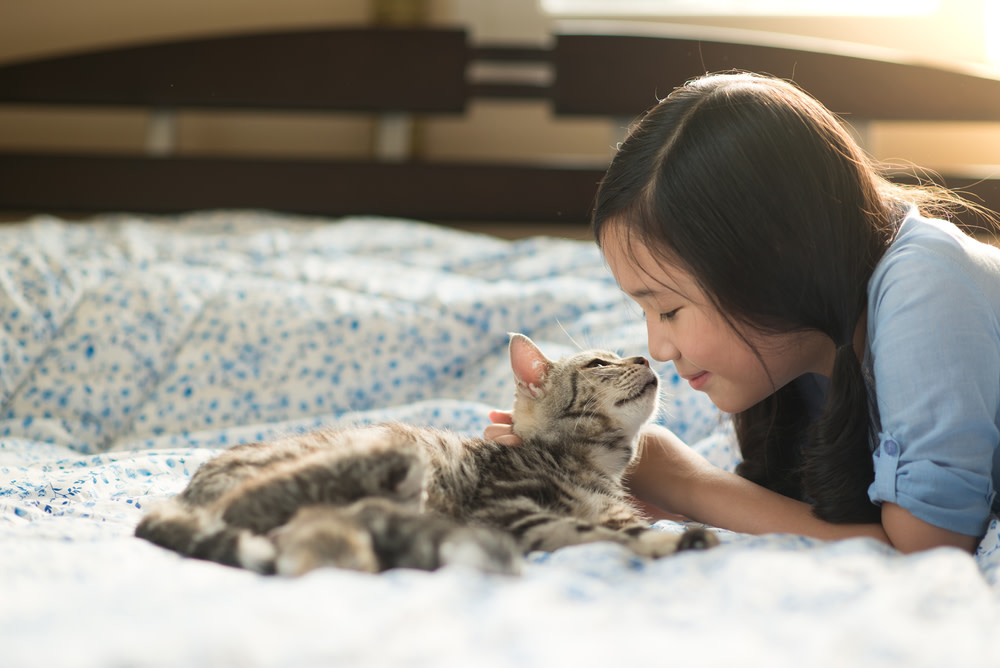 Four Ways To Soothe Your Grieving Cat 4 girl talking to her cat