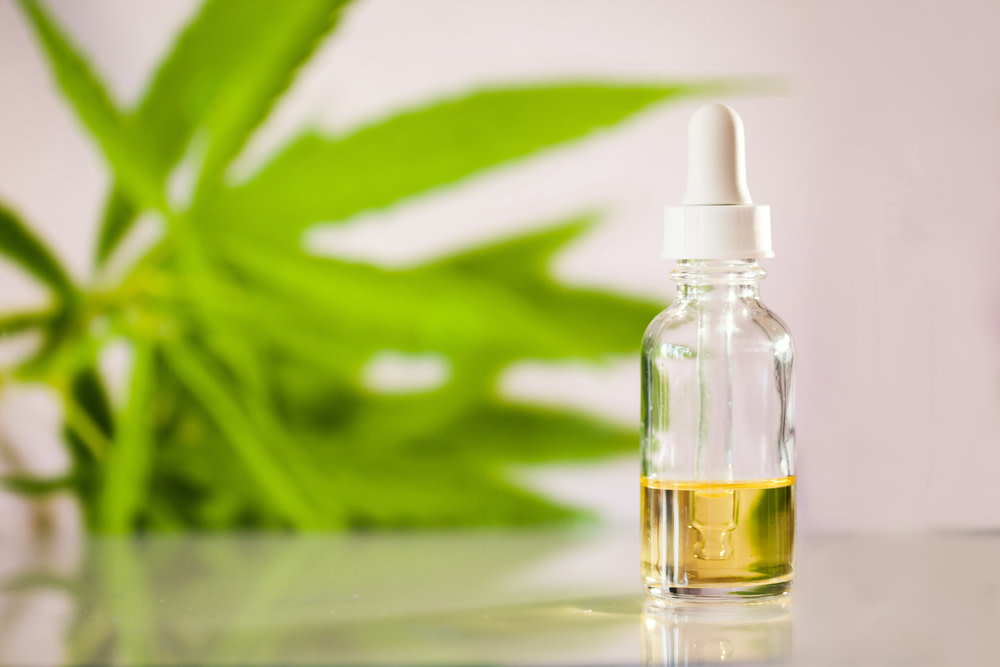 How CBD Oil for Cats With Kidney Disease can Help 3 what is CBD oil