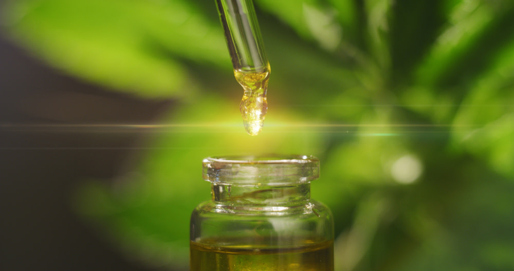 CBD Dog Food: The Future of CBD? 2 Difference Between CBD Oil and CBD Dog Treats