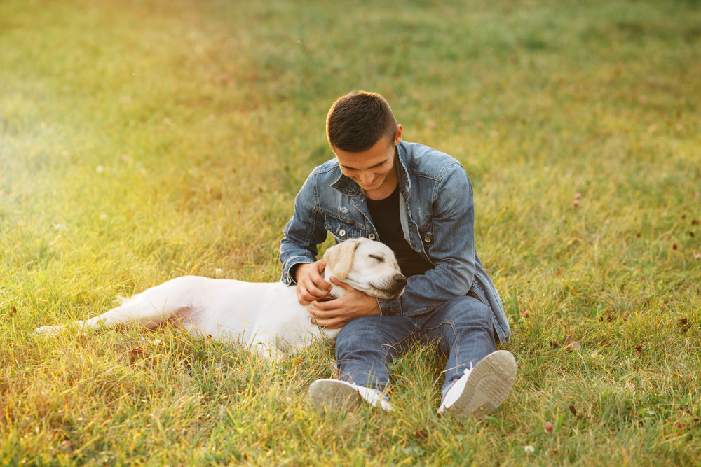 Dog Skin Problems: A Guide to Symptoms and Treatments 4 Healthy Dog Skin