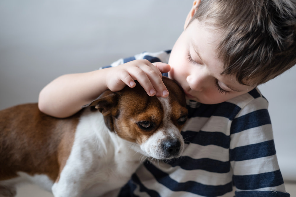 How to Shrink a Dog’s Tumor: 11 Different Ways 2 How to Shrink a Tumor in a Dog
