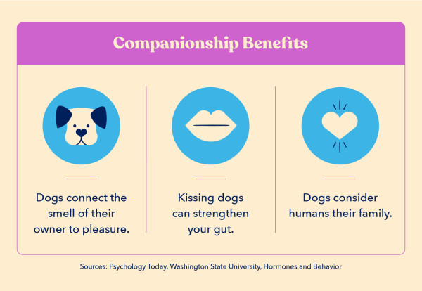 three icons indicate companionship benefits of having a dog, including that dogs consider humans their family and kissing dogs can strengthen humans’ guts